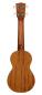 Preview: ukulele